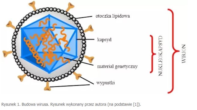 wirus_1